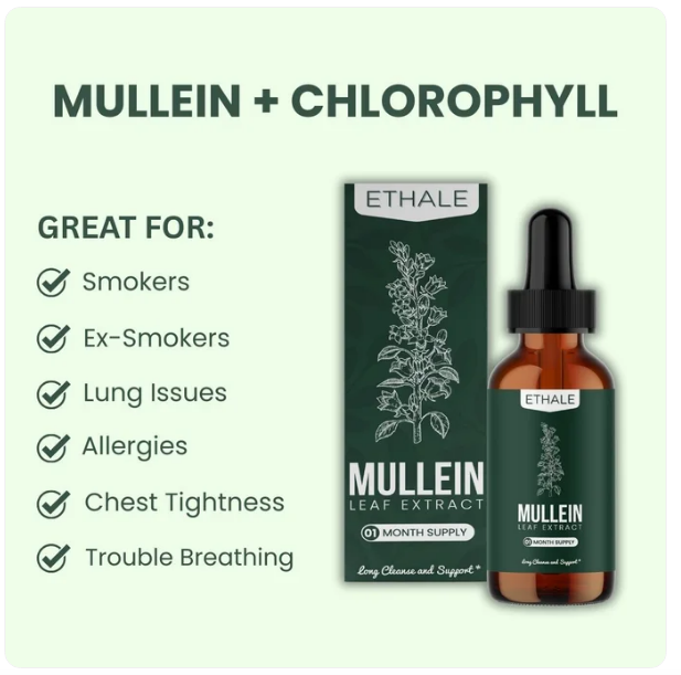 أمريكية لدعم تنقية الرئة وترك التدخين Mullein + Chlorophyll قطرات //